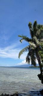 bungalow vue lagon 180 degré, la maison bleue - Moorea - 9
