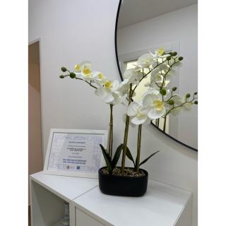 Salento Apartment - Brindisi - 3