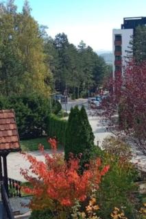 Golden Pine Lux - Zlatibor - 2