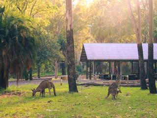 BIG4 Breeze Holiday Parks - Carnarvon Gorge - Carnarvon Gorge - 0