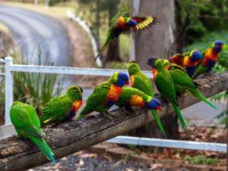 BIG4 Cania Gorge Holiday Park - Cania - 2