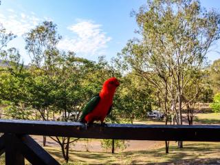 BIG4 Cania Gorge Holiday Park - Cania - 4
