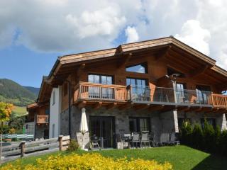 Green Garden Lodge A2 Walchen-Kaprun - Piesendorf - 9
