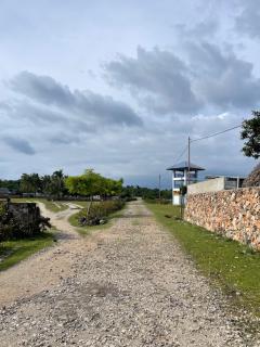 mamamia homestay - - 3