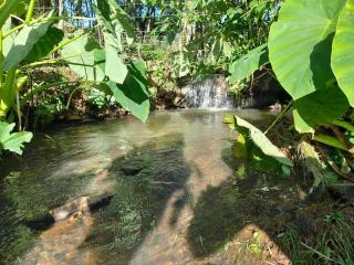 Recanto da Maia - Nova Petrópolis - 8