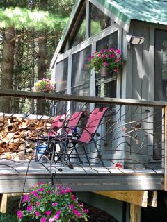 Woodsy and Private- Rustic Cabin - Kingsley - 2