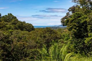 New! Ocean View, Jungle Surrounded, Walk to Beach & River - Uvita - 1
