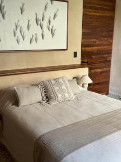 Cauma 42 beach front and ocean view - Zihuatanejo - 1