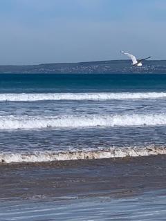 Swiss Retreat Goolwa - Goolwa - 2