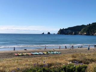 Hosts on the Coast Paradise on Pipi - Whangamata - 1