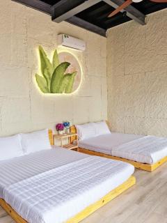 Hòn Đỏ Homestay Ninh Thuan Venuestay - - 2