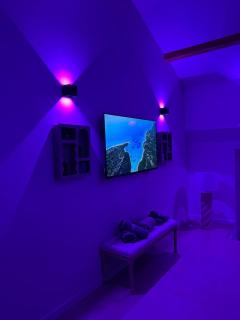 Secret & Jacuzzi - Vienne - 7
