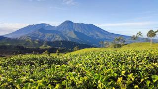 Camping Ground Mount Luhur - Telagawarna - 6
