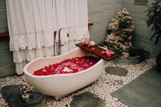 Luxury 2BR Ubud Villa with Infinity Pool and Jungle Views - Penginyahan - 8
