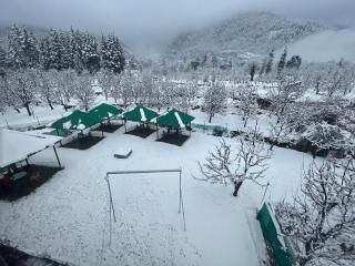 Hotel Celebriti Inn by London vista Hotels - Old Manali - 6