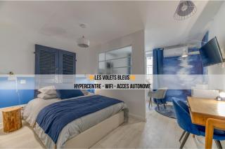 Les Volets Bleus - CLE HOTES - Saint-Vallier - 0