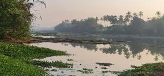 Nila Organica Farm Stay - Palakkad - 4