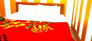 Best Room Like Balaji Palace Ayodhya With Air Conditioner - Ayodhya - 7