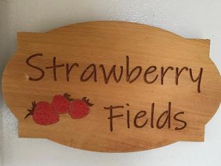 Strawberry fields - Devonport - 0