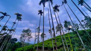 Green Home - - 8