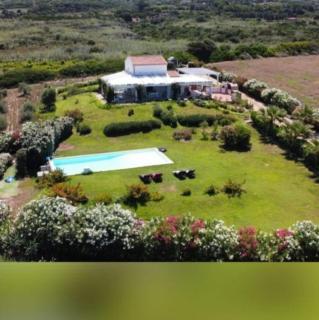 Villa Enga: with pool, in front of the sea and in the middle of wineyards - Badesi - 9