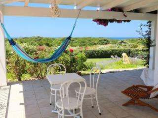 Villa Enga: with pool, in front of the sea and in the middle of wineyards - Badesi - 3