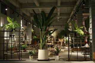 Nanyue Shiba B&B - Quanzhou - 1
