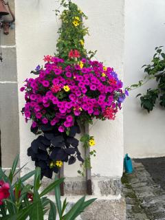 Metris 6 - Corre - 3