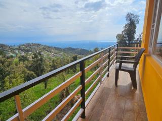 Mustard House - Mcleod Ganj - Dharamshala - 6