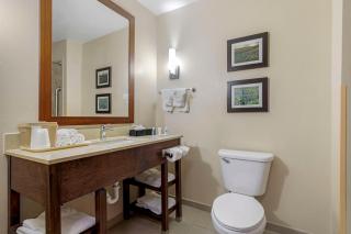 Comfort Suites - 3