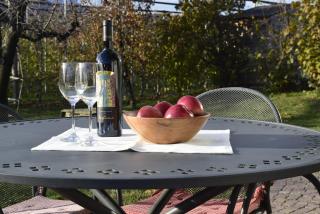 Appartment Gut Wendlandt - 1