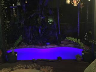 The Blue Lagoon poolside retreat - Cable Beach - 5