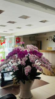 Thanh Hà Hotel Lào Cai - Lào Cai - 1