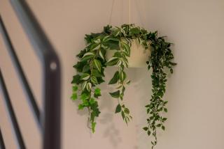 Villa Perini by IstriaLux - 5