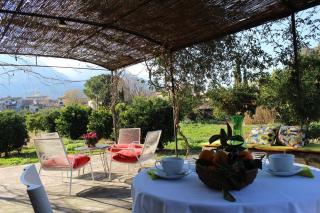 Sóller Relax, cozy and rural apartment - Sóller - 7