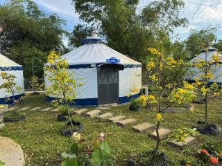 Mekong Camping Deluxe - Ấp Thanh Sơn (1) - 0
