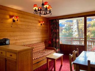 Studio fonctionnel au pied des pistes. Animaux admis. - FR-1-811-18 - Les Deux Alpes - 0