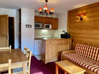 Studio fonctionnel au pied des pistes. Animaux admis. - FR-1-811-18 - Les Deux Alpes - 9