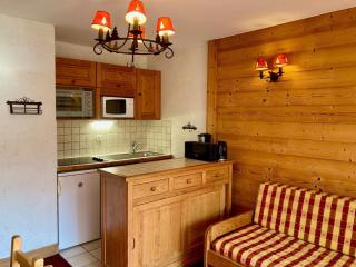 Studio fonctionnel au pied des pistes. Animaux admis. - FR-1-811-18 - Les Deux Alpes - 7