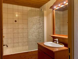 Studio fonctionnel au pied des pistes. Animaux admis. - FR-1-811-18 - Les Deux Alpes - 3