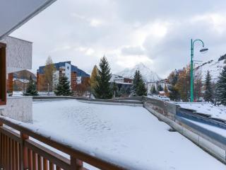 Studio central 4 pers - Pied des pistes, Animaux admis - FR-1-811-36 - Les Deux Alpes - 4