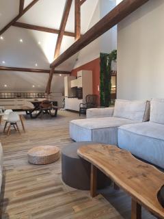Le Loft du Centre Ville - Aix-les-Bains - 7