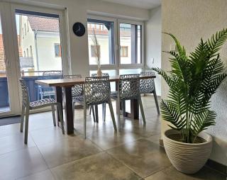 Eibauer Apartments - Sinsheim - 2