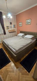 Habos isler apartman 16 - Szolnok - 7