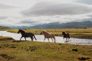 Hótel Fljótshlíd - 1