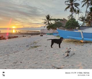 Kobe's Beachfront Haven - Siquijor - 8