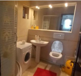 VillaWeb 9rooms - Long term business aparthotel 29 Euro per night per room, min 3months - Iaşi - 8