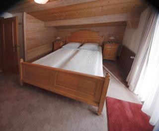 Neuhaus Apartments - Gosau - 4