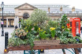 Cuthbert Suite - Heart of Covent Garden! - Londra - 4