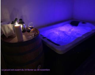 Suite Grand Cru - SPA & terrasse - Arveyres - 6